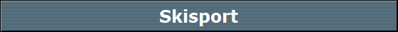 Skisport